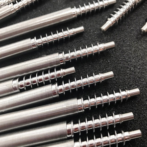 Motor shaft worm